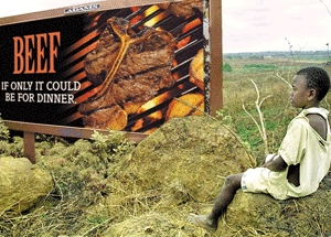 A young boy sits beside one of the Burundi Beef Council's new billboards.